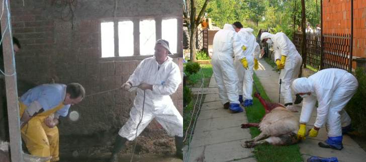 slika02-mjesto-i-uloga-veterinarskih-tehnicara