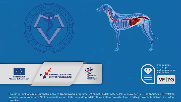 slika01-Most ili ponor