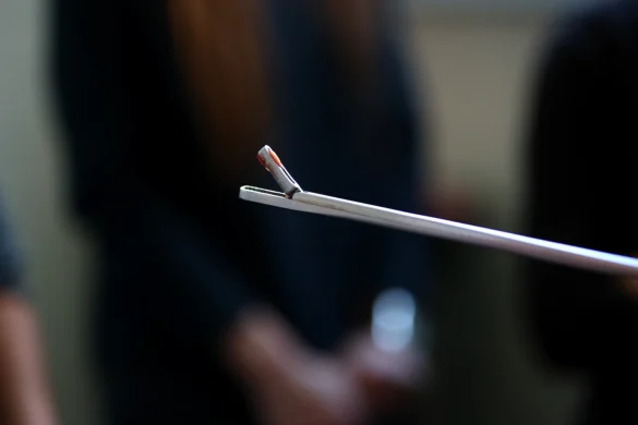 Klinička radionica napredna dijagnostika neplodnosti kobila