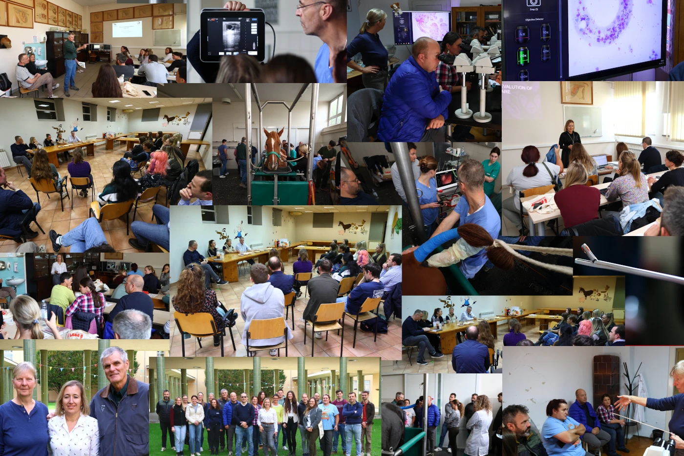 2W3Axxxx_Problem-mare-course_Croatia2025-mix-1400