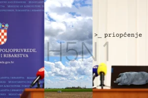 Ukinuta zona zaštite i zona nadziranja afričke svinjske kuge; novi slučajevi H5N1 u divljih ptica