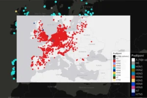 Povećani broj uginuća i slučajeva visokopatogene influence ptica podtipa H5N1 u labudova